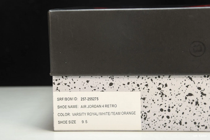 Duckman Ducks Retro Jordan 4 257-255275 Oregon 0724
